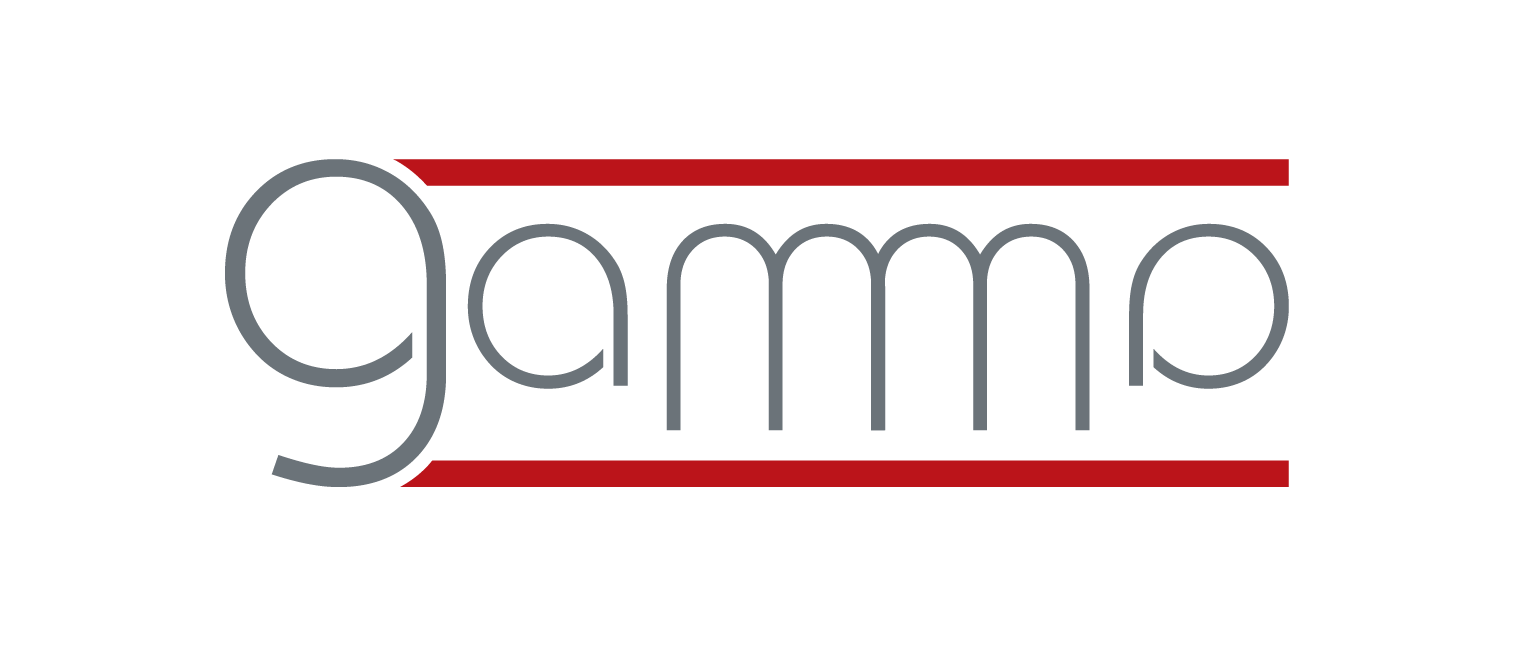 GAMMA Ajax Detector - Détecteur pour la recherche de l'or - 3 systèmes Gradiosmart analyse en direct et scaner de dol 3D - Univers Detection Service